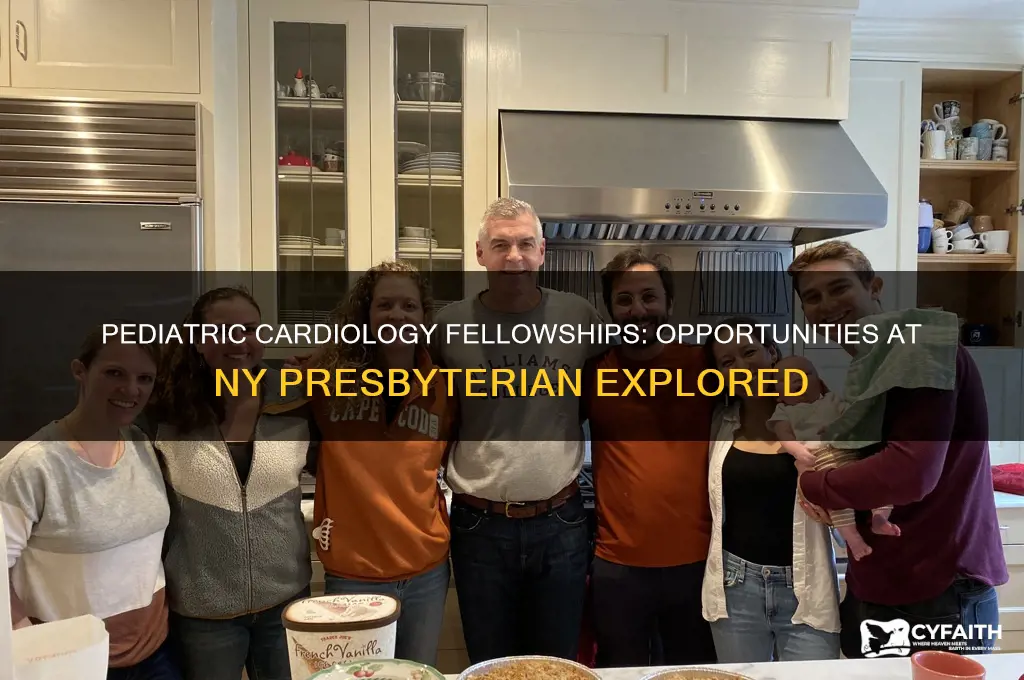how many pediatric cardiology fellowship positions at ny presbyterian
