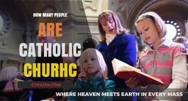 Catholics Worldwide: A Community of Billions