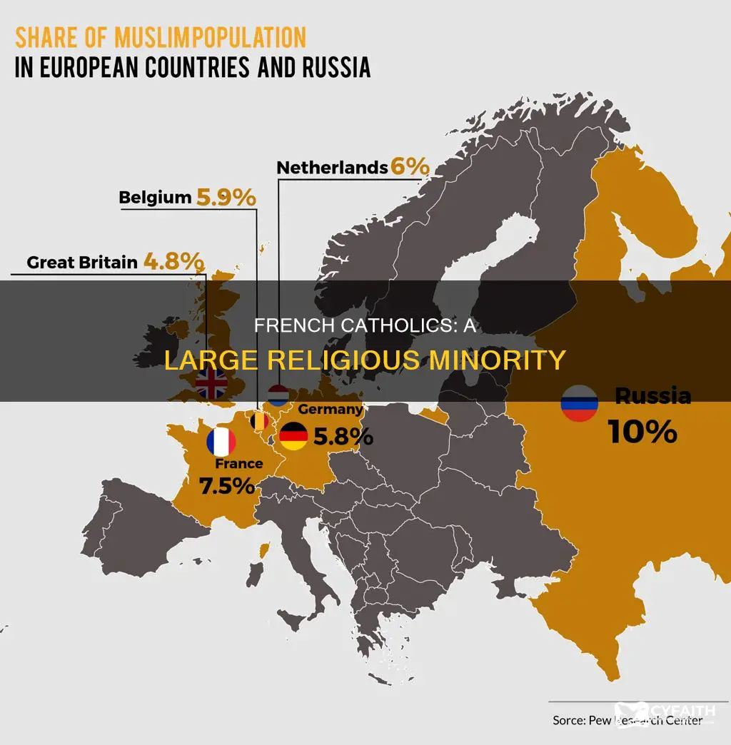 how many people are catholic in france