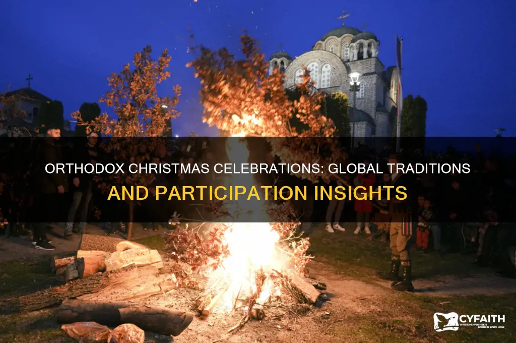 how many people celebrate orthodox christmas