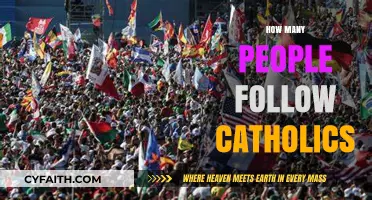 Global Catholic Following: Understanding the Vast Number of Adherents