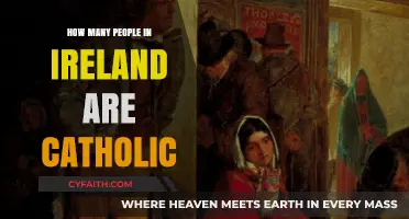 Irish Catholics: Population and Cultural Significance