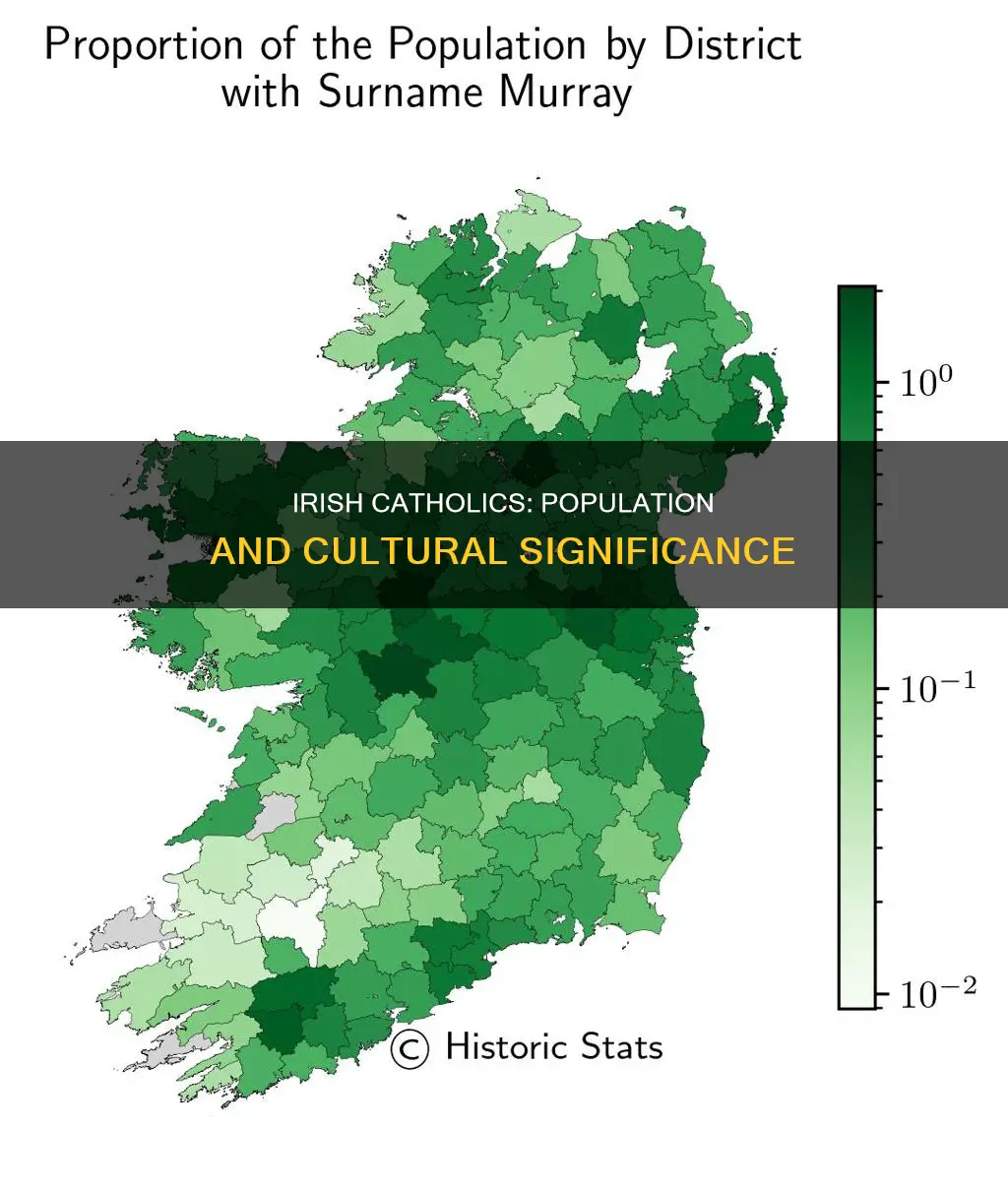 how many people in ireland are catholic