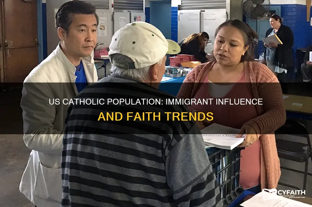 how many people in the us are catholic and immigrants