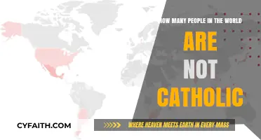 Global Faith Diversity: Exploring Non-Catholic Populations Worldwide