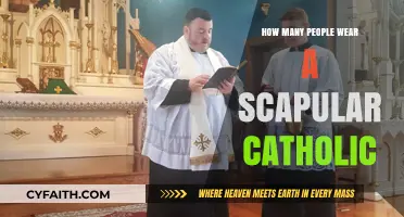 Millions of Catholics Wear the Scapular Daily