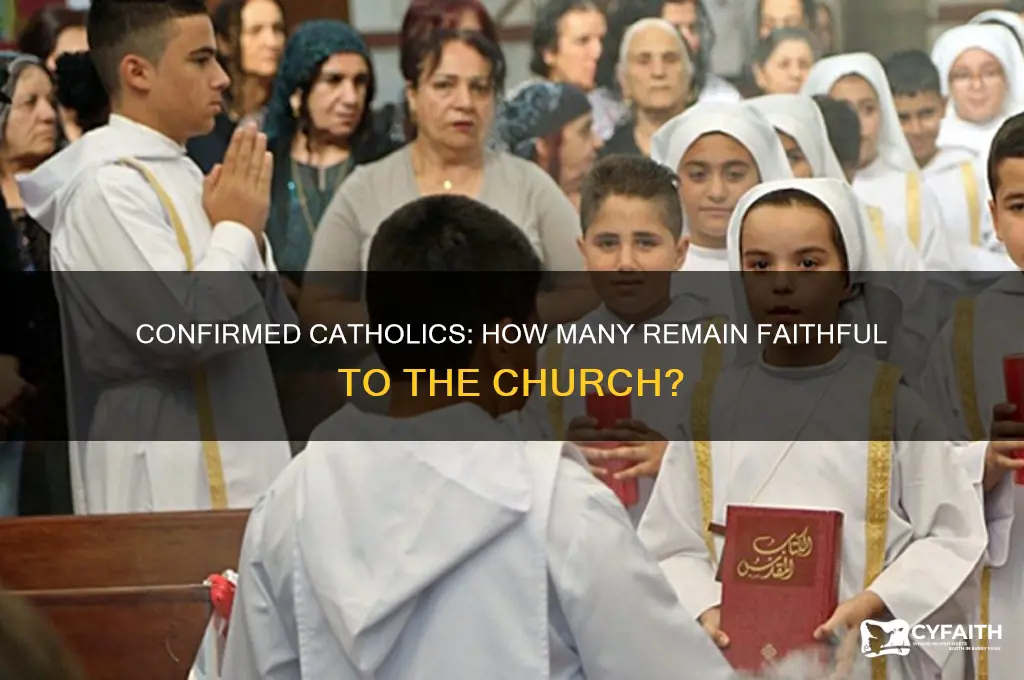 how many people who are confirmed are still catholic