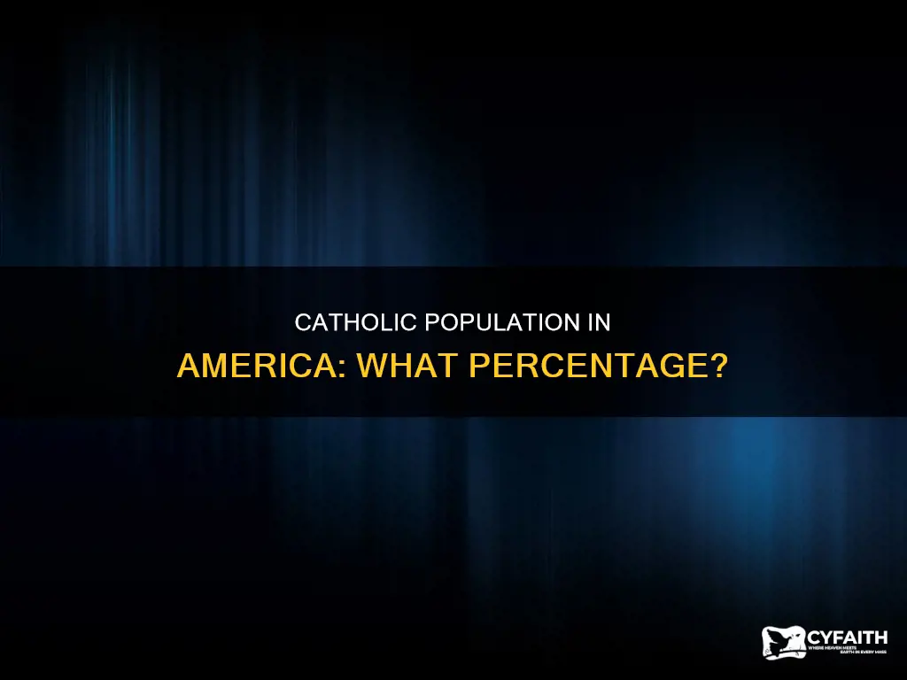 how many percent american are catholic