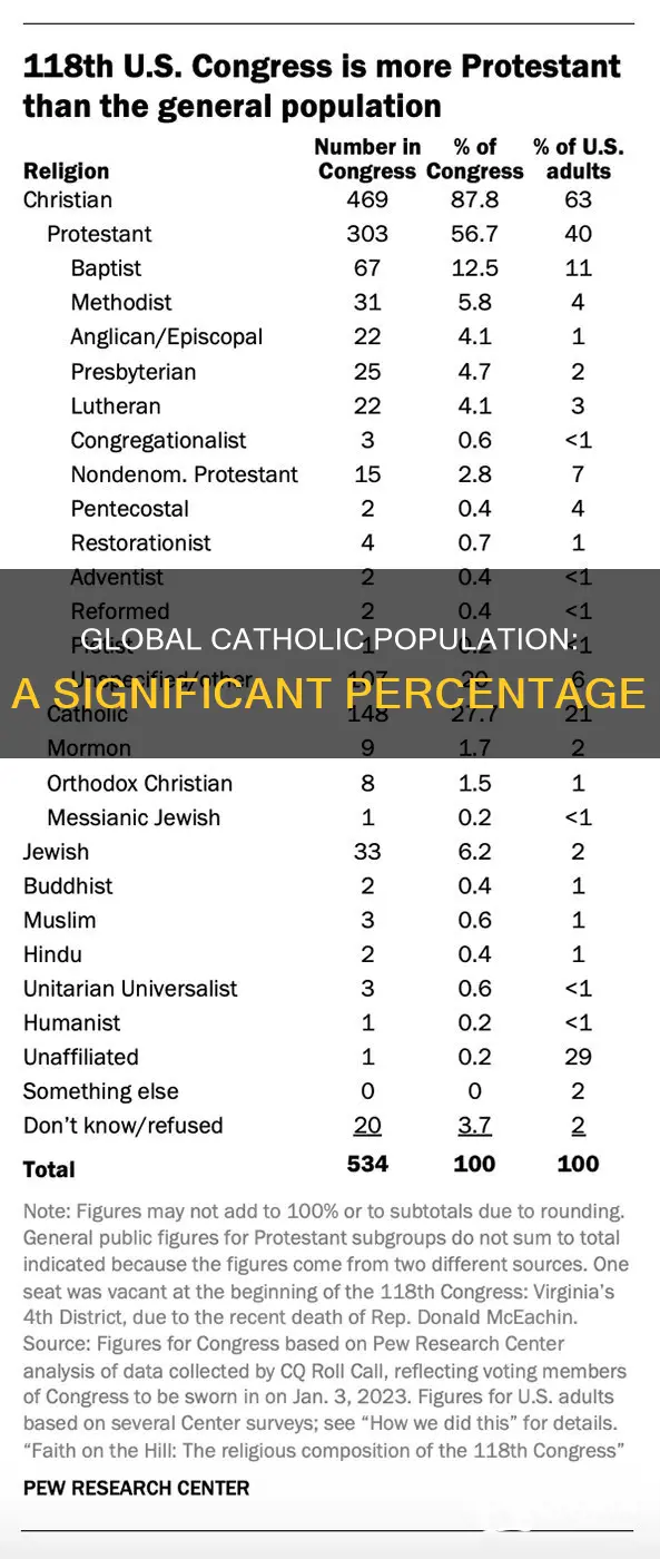 how many percent catholic in the world
