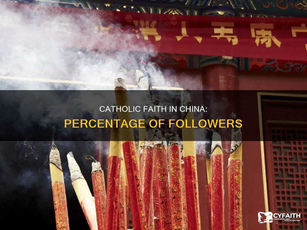 how many percent of chinese are catholic