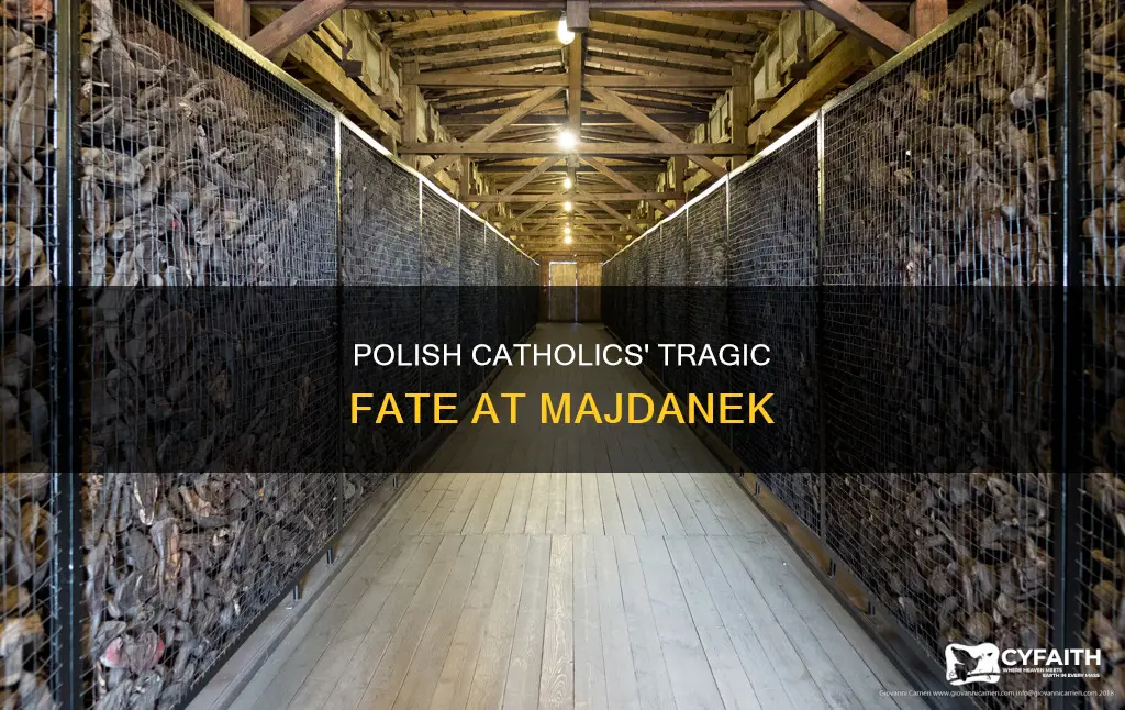 how many polish catholics died in the majdanek