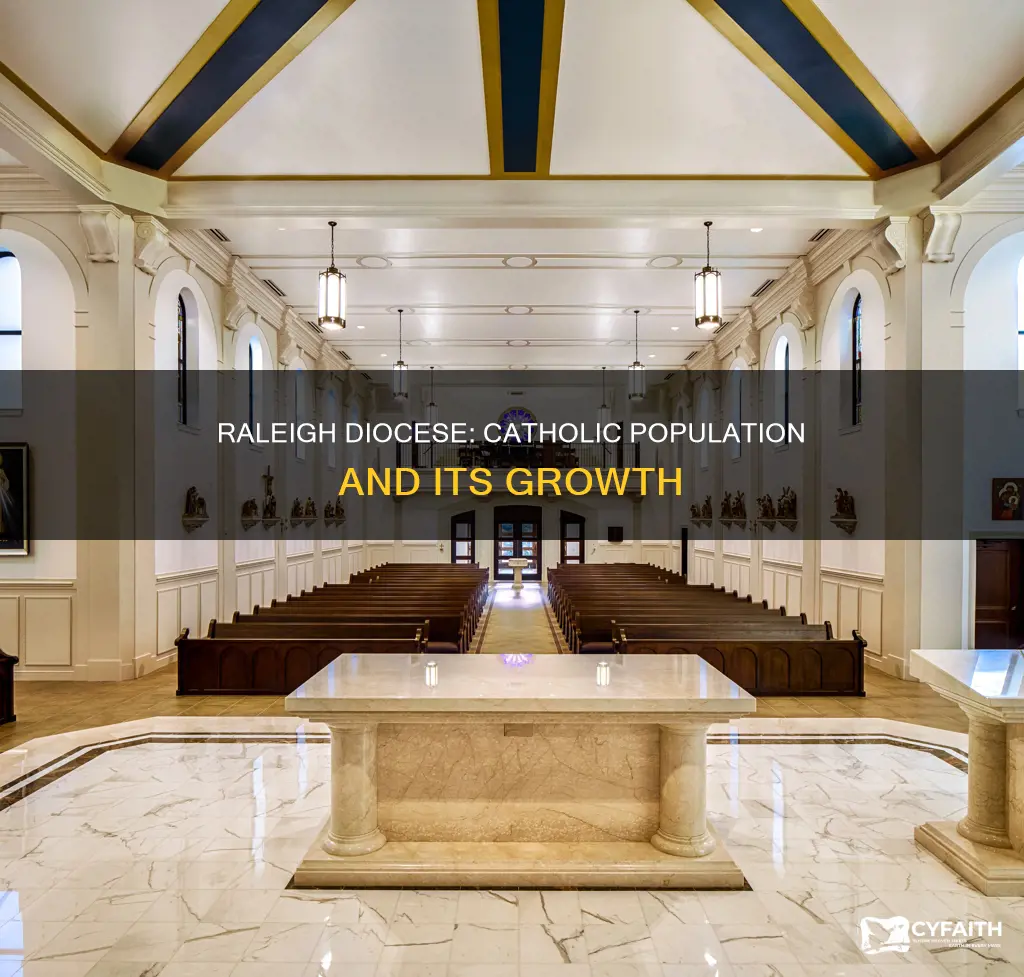 how many practicing catholics in raleigh diocese