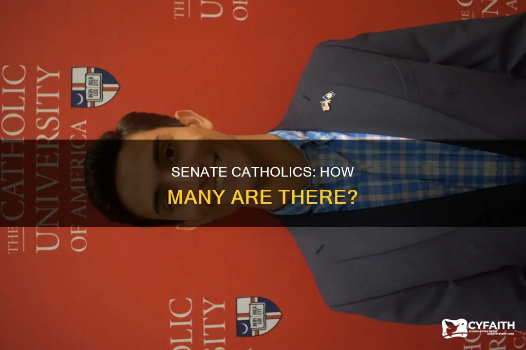 how many practicing catholics in us senate