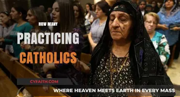 Practicing Catholics: Understanding the Global Devout Population Today