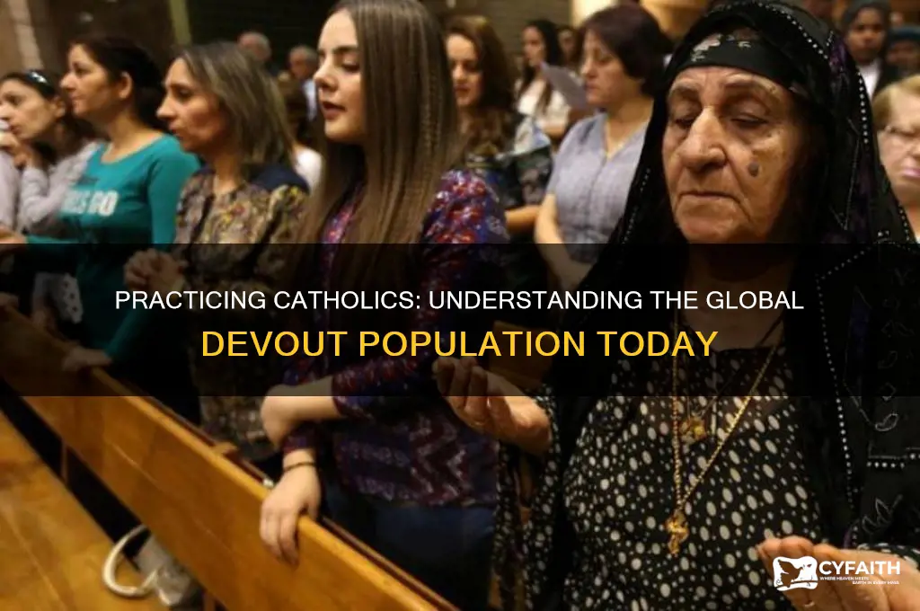 how many practicing catholics