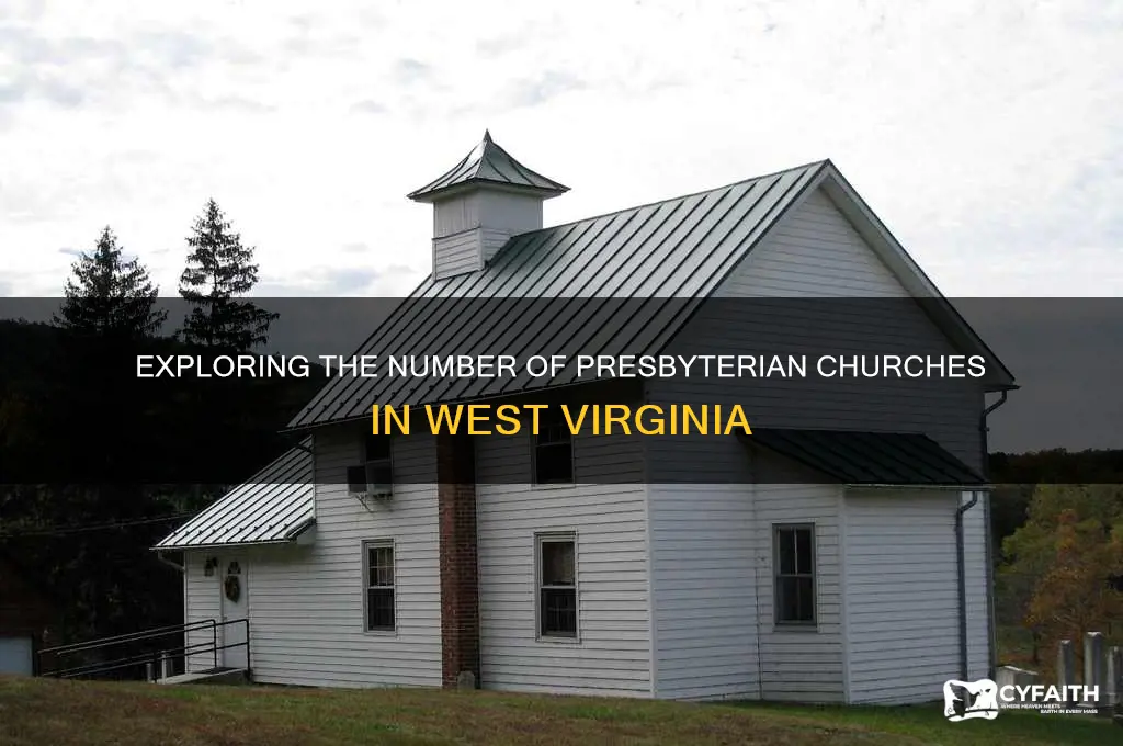 how many presbyterian churches are in west virginia