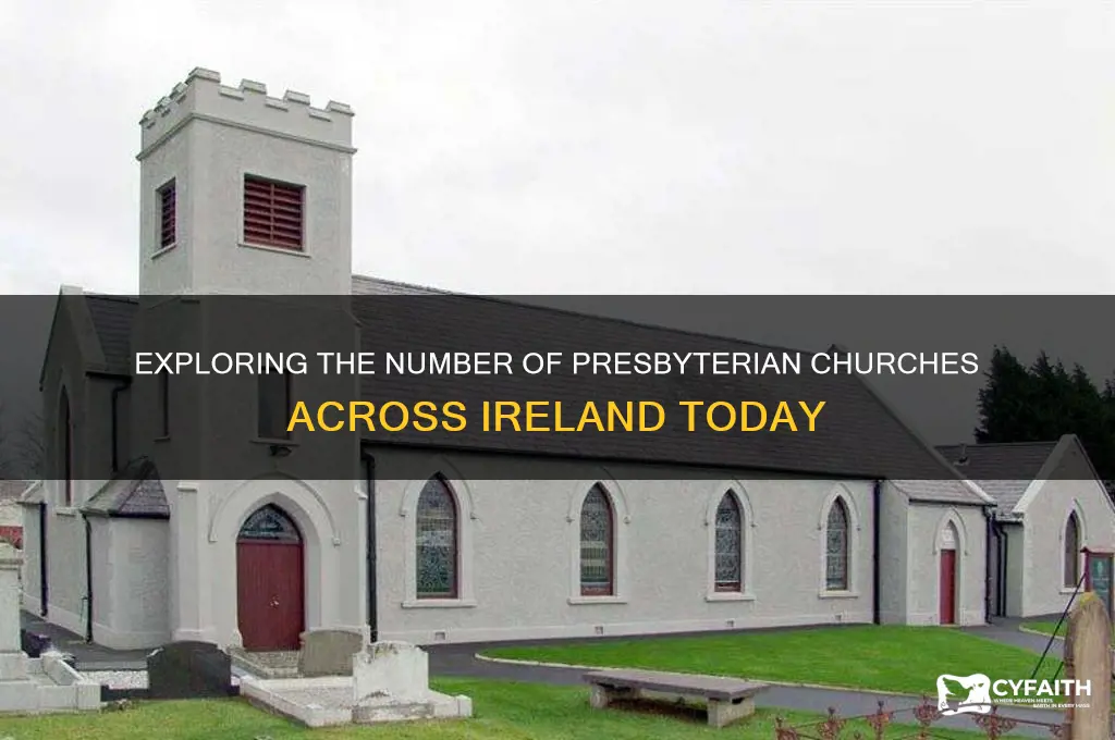 how many presbyterian churches are there in ireland