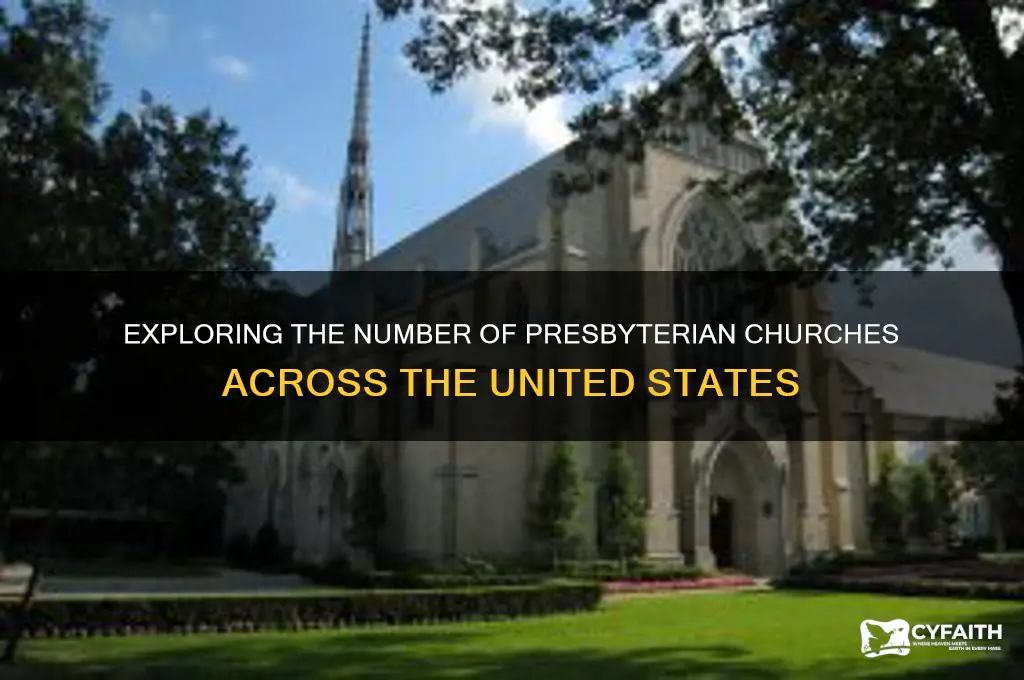 how many presbyterian churches are there in the us