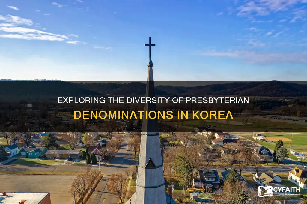 how many presbyterian denominations in korea