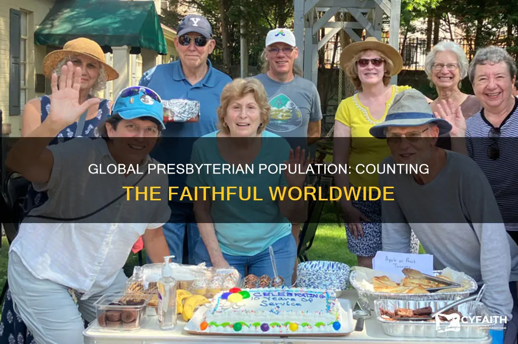 how many presbyterians in the world