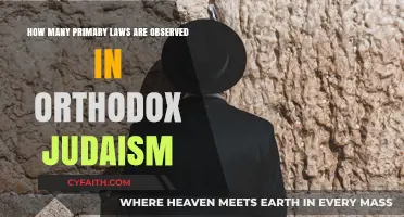 Understanding the Core: Primary Laws in Orthodox Judaism Explained