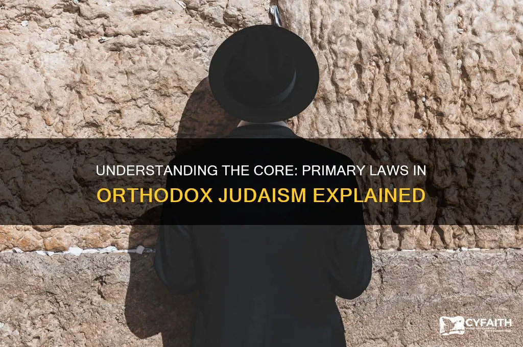 how many primary laws are observed in orthodox judaism