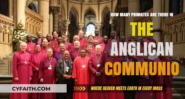 Exploring the Anglican Communion's Primate Leadership: A Global Overview