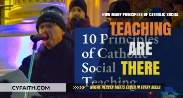 Understanding the Core Principles of Catholic Social Teaching