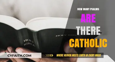 Exploring the Catholic Psalms: A Comprehensive Guide