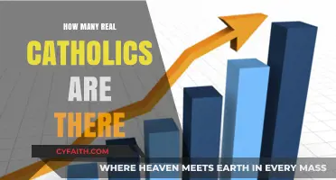The Devout and the Doubtful: Counting Catholics