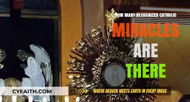 Recognized Catholic Miracles: How Many Exist Today?