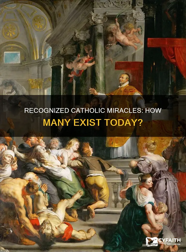 how many recognized catholic miracles are there