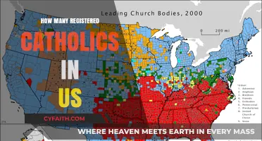 Catholics in the US: A Large and Growing Population
