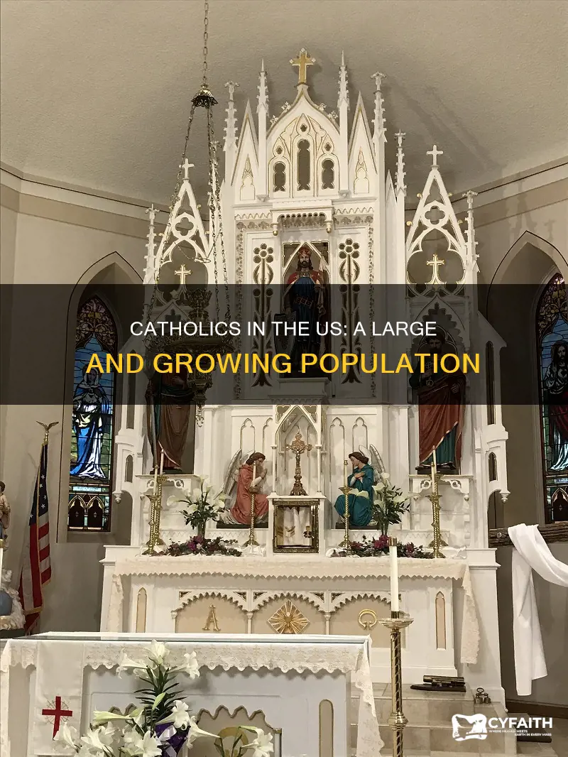 how many registered catholics in us