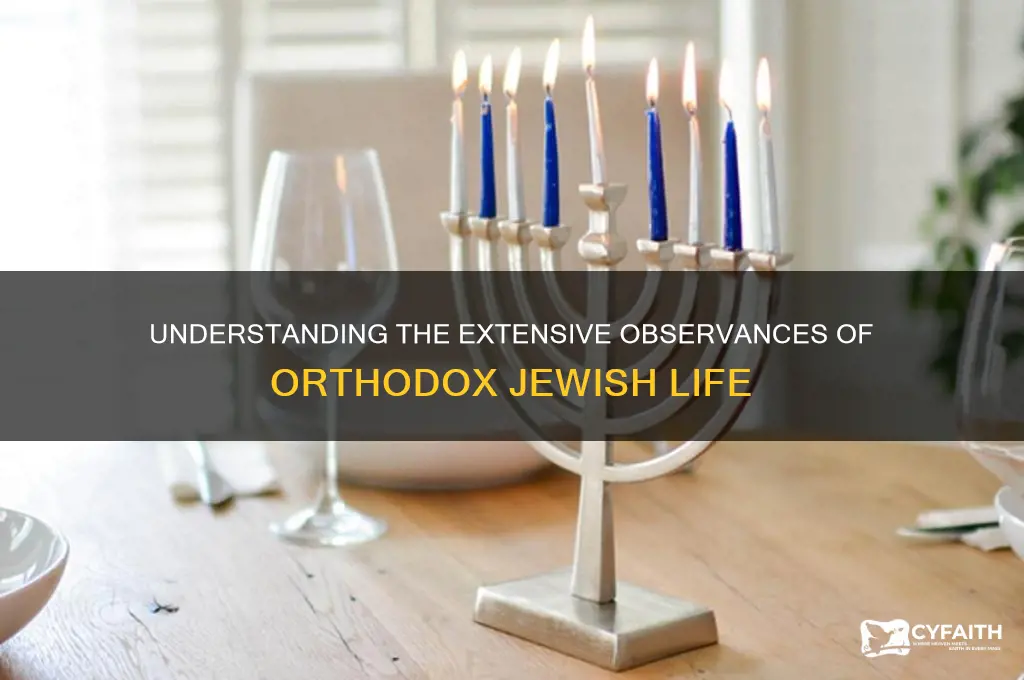 how many rules does an orthodox jew have to follow