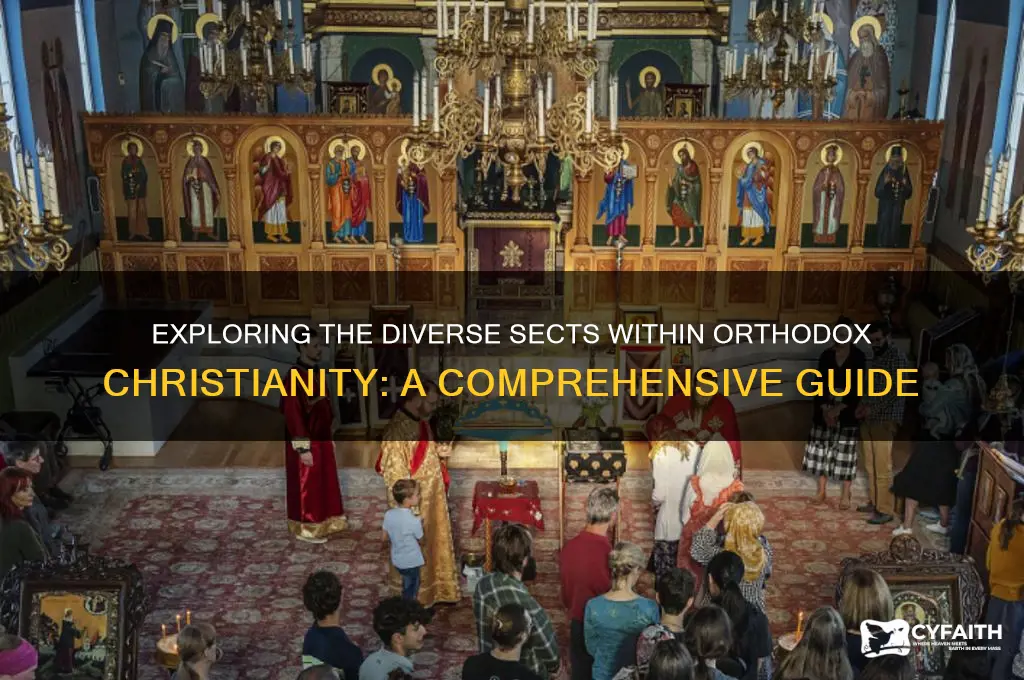 how many sects of orthodox christians are there