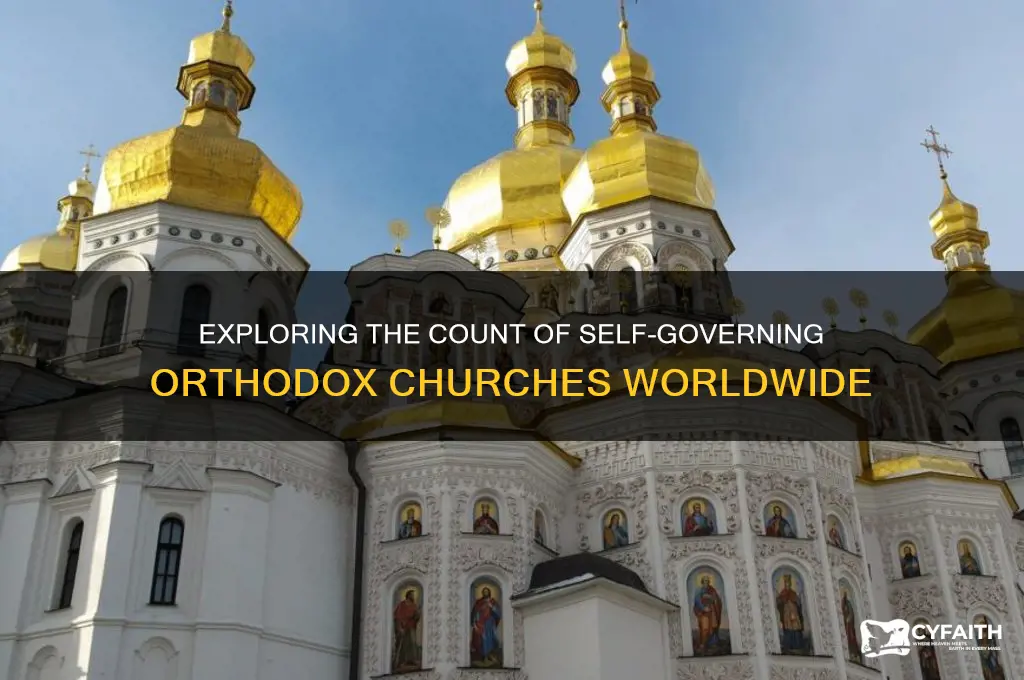 how many self governing orthodox churches