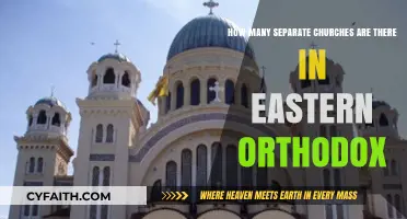 Exploring the Diverse Churches Within Eastern Orthodox Christianity