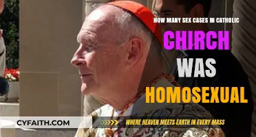 Catholic Church Sex Abuse Cases: Homosexual Allegations Examined