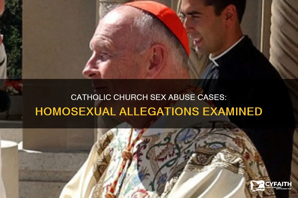 how many sex cases in catholic chirch was homosexuals