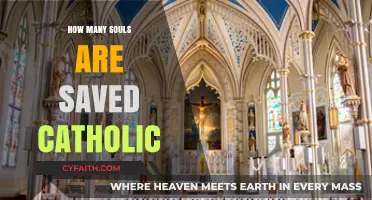 The Catholic Church's Saved Souls: A Number's Game