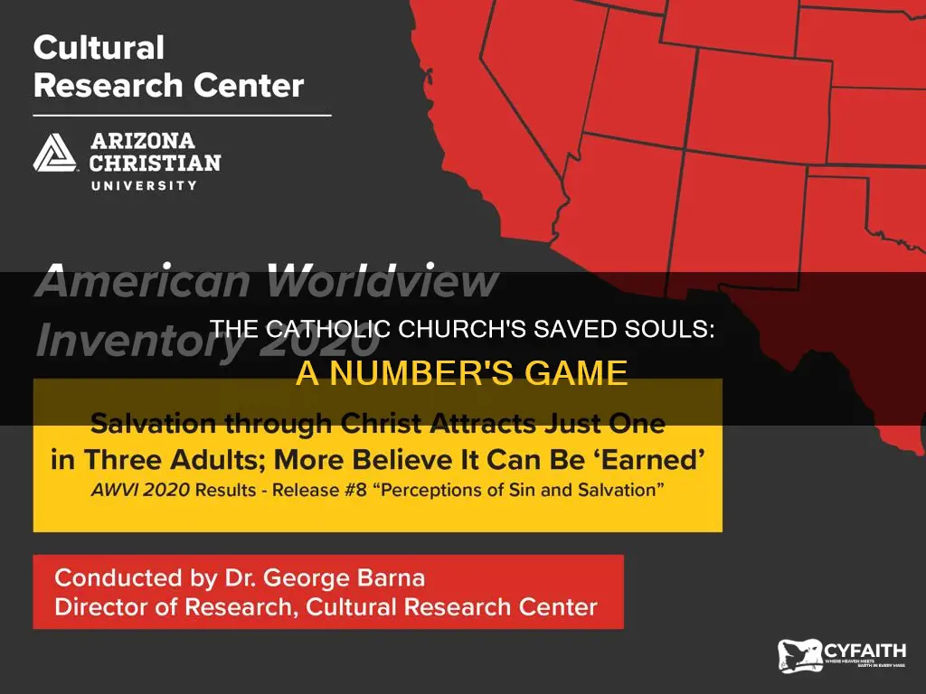 how many souls are saved catholic