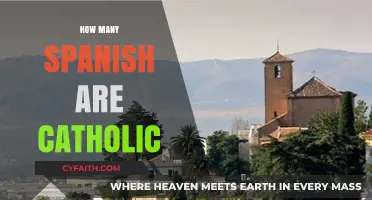 Exploring Spain's Catholic Population: A Comprehensive Analysis of Religious Demographics