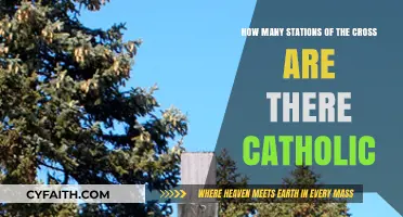 Understanding the Number of Stations of the Cross in Catholicism