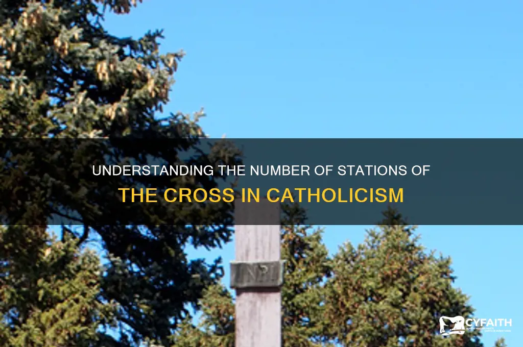 how many stations of the cross are there catholic