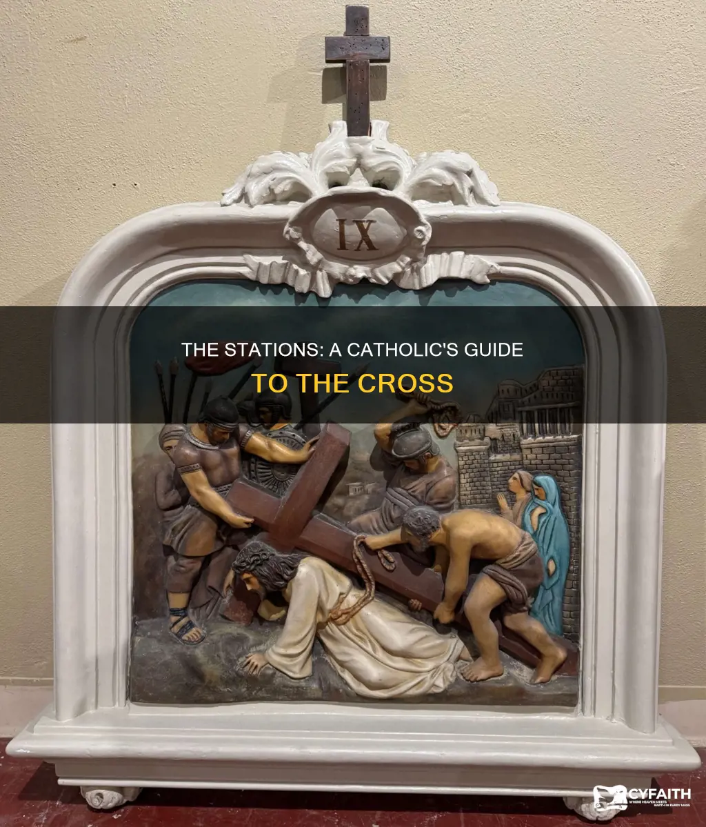 how many stations of the cross catholic