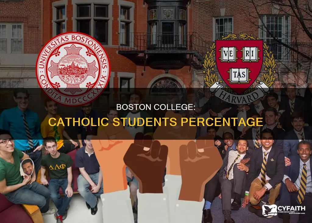 how many students at boston college are catholic