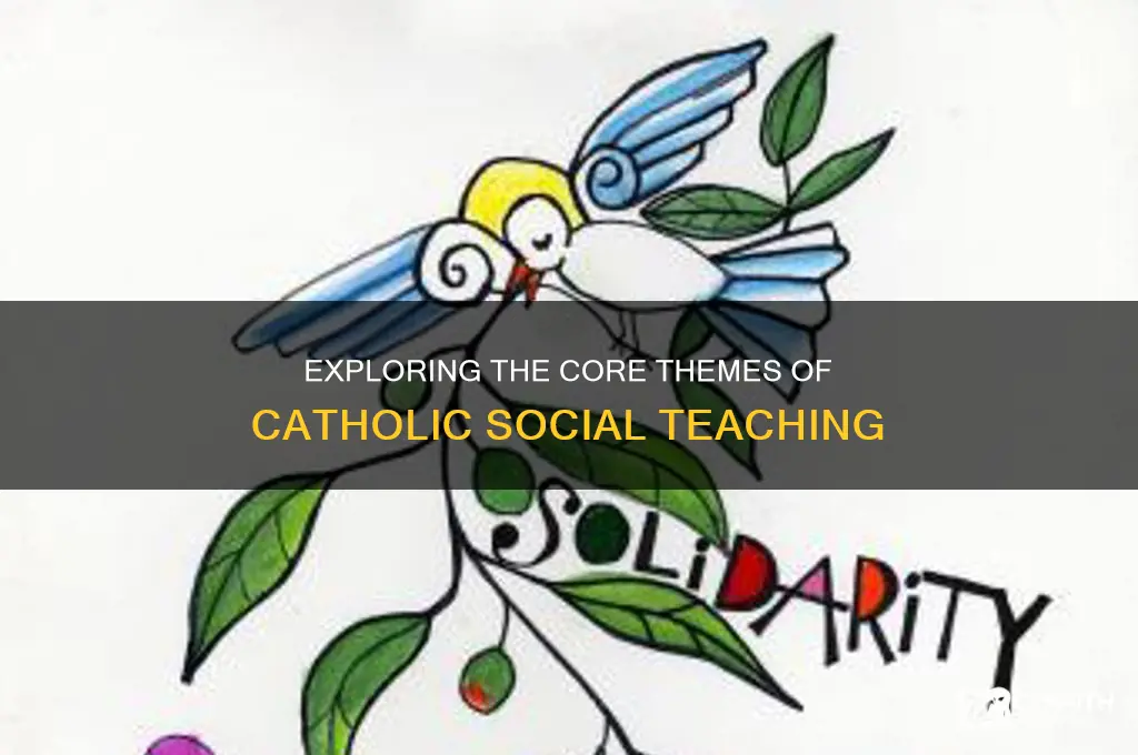 how many themes are there of social catholic teaching