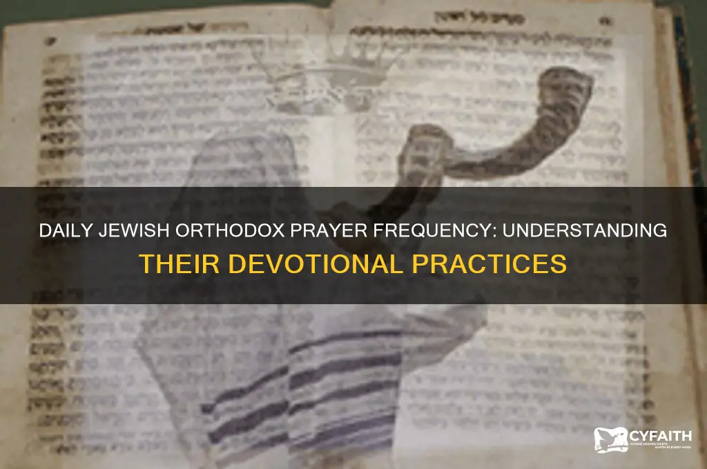 how many times a day do jewish orthodox pray