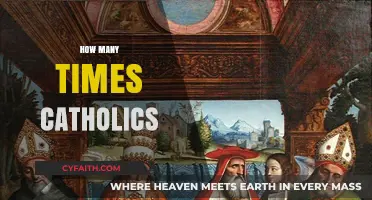 Understanding Catholic Practices: Frequency and Significance of Key Traditions